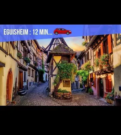 Refuge Ladhof Odysalis I Chic-Moderne-Proche Du Centre-Ville 3 Pieces 2 Chambres Colmar Buitenkant foto