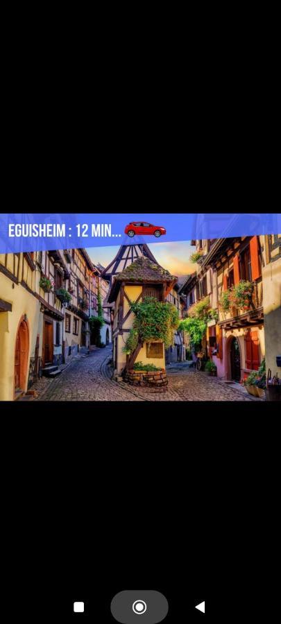 Refuge Ladhof Odysalis I Chic-moderne-proche Du Centre-ville 3 Pieces 2 * Colmar