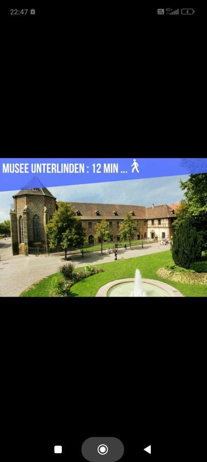 Apartment Refuge Ladhof Odysalis I Chic-moderne-proche Du Centre-ville 3 Pieces 2 Colmar